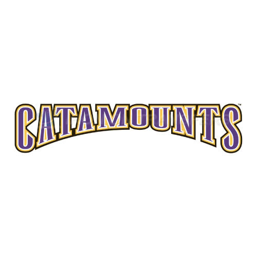 Western Carolina Catamounts Logo T-shirts Iron On Transfers N695